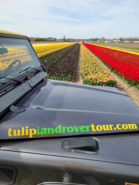tulpen-landrover-tour, Luxus Tulpen-Tour in den Niederlanden